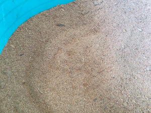 Apple wood dust. Cold smoking dust.  Fine smoking dust